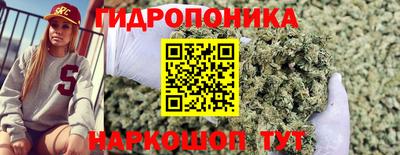 apvp Кандалакша